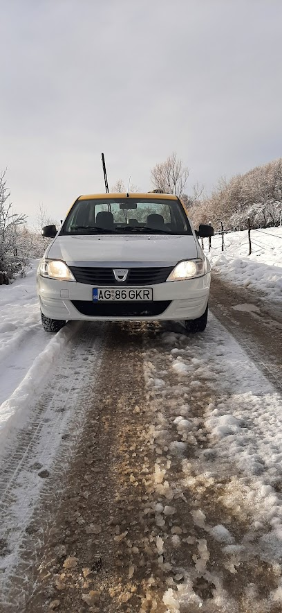 Taxi Curtea de Arges GKR